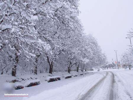 بارش برف از فردا نواحی سردسیر استان کرمانشاه را فرا می‌گیرد