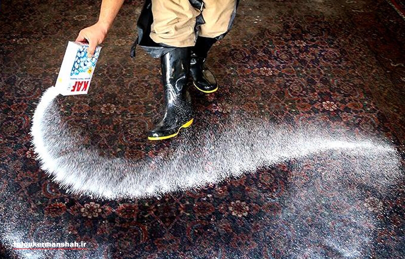 نرخ شست‌وشوی فرش در کرمانشاه ۱۰ درصد گران شد