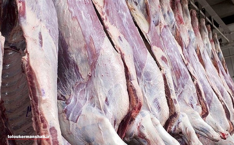 دلیل اصلی افزایش قیمت گوشت در کرمانشاه نابه‌سامانی در شبکه تأمین و توزیع است