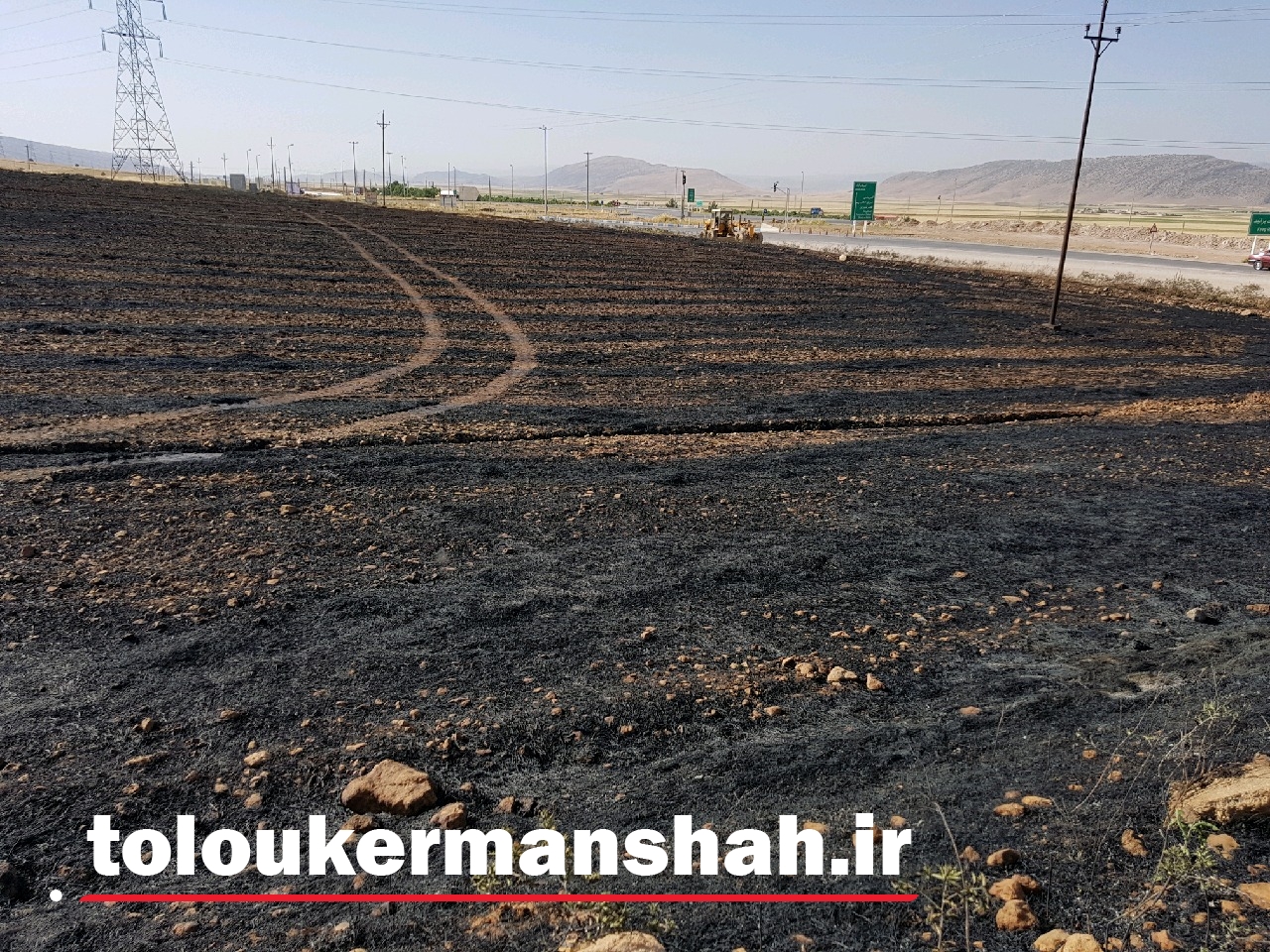 سوختن ۵ هکتار از مزارع و پس چرگندم درشهرستان دالاهو