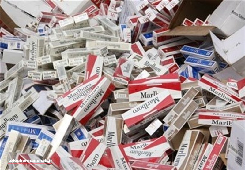 یک میلیارد و ۲۰۰ میلیون ریال سیگار قاچاق کشف شد