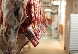 امروز  ۱۱ تن گوشت گرم گوسفندی به نرخ دولتی در کرمانشاه توزیع می‌شود