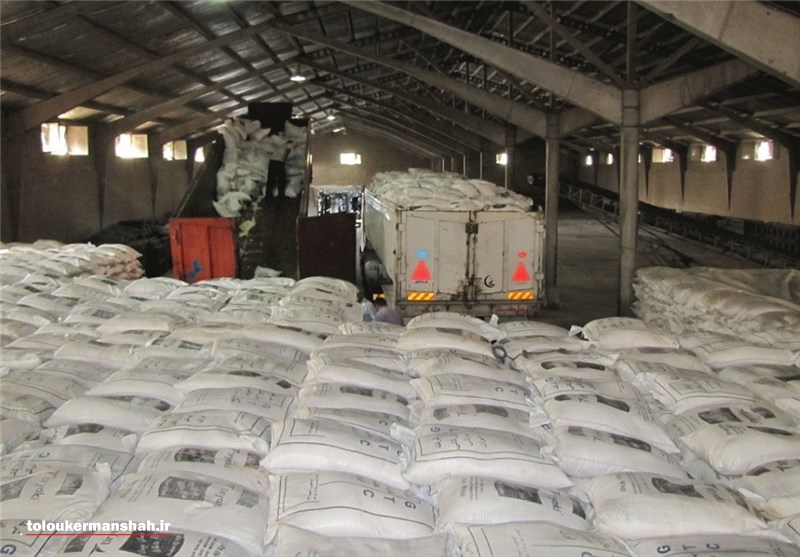 توزیع ۱۰۰۰ تن برنج با نرخ مصوب دولتی