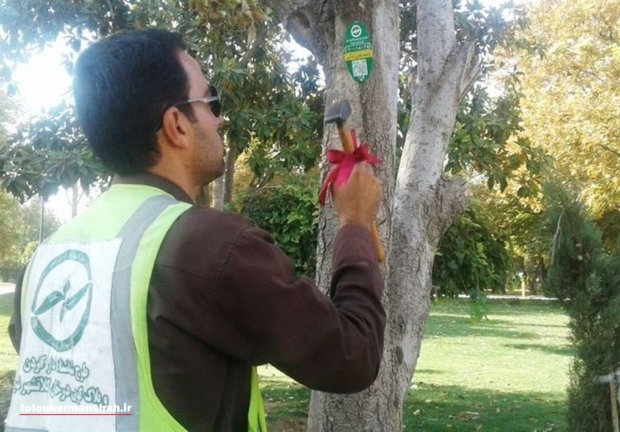 شناسنامه‌دار کردن الکترونیکی درختان در کرمانشاه