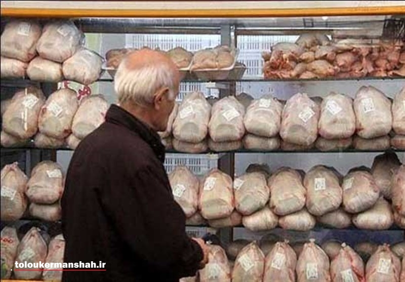 توزیع مرغ به قیمت هر کیلو ۸۹۰۰ تومان در کرمانشاه آغاز شد