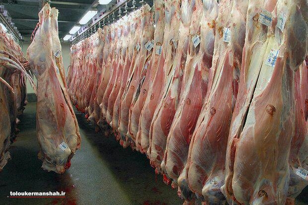 توزیع گوشت  گوساله گرم یارانه ای از سه شنبه ۲۰ آذر در کرمانشاه