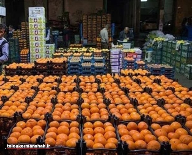 ذخیره‌سازی ۱۵۰۰ تن میوه شب عید در کرمانشاه