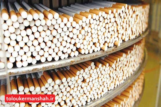کشف ۵۰ هزار نخ سیگار قاچاق در پاوه