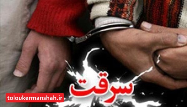 کشف ۴۳ فقره سرقت در کرمانشاه