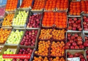 بخش خصوصی توان ایجاد تعادل در بازار میوه شب عید را دارد