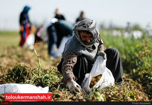 مستمری‌بگیران صندوق بیمه اجتماعی کشاورزان و روستاییان کرمانشاه عیدی گرفتند