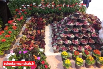 نمایشگاه گل و گیاه در کرمانشاه