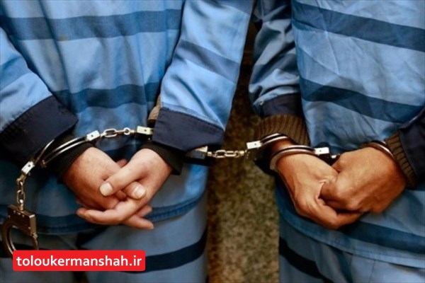 کشف ۲۵ فقره سرقت و دستگیری ۲ متهم  در کرمانشاه