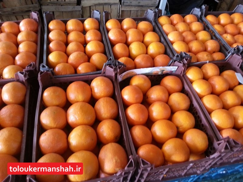 قیمت میوه تنظیم بازار در عید نوروز اعلام شد
