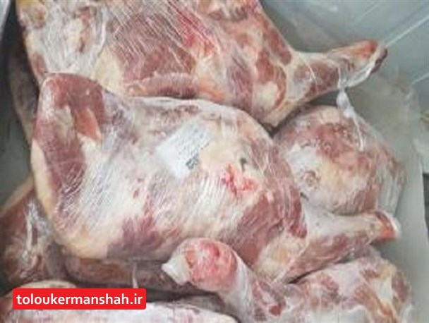 توزیع روزانه ۴۰ تن گوشت قرمز تنظیم بازاری در کرمانشاه