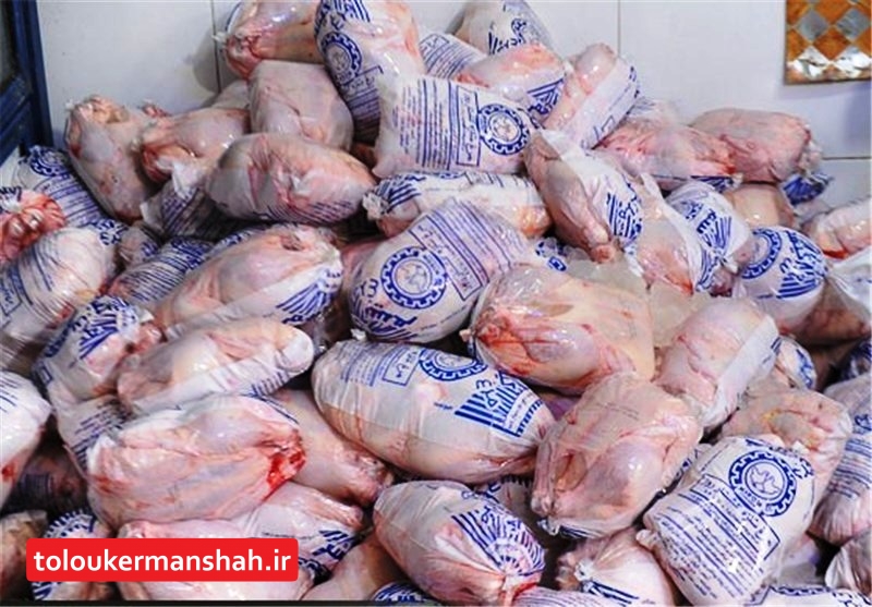 کاهش قیمت مرغ به ۱۱ هزار و ۵۰۰ تومان در دستور کار است