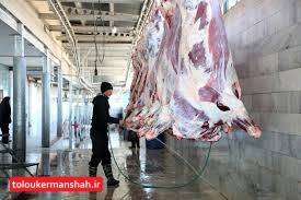 ۱۲۰ تن “گوشت قرمز”در کرمانشاه توزیع می‌شود