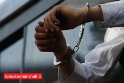 دستگیری سارقان سیم برق در سنقر و کلیایی