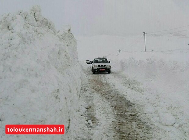 برف ۸۰ درصد راه‌های روستایی سنقر را مسدود کرد