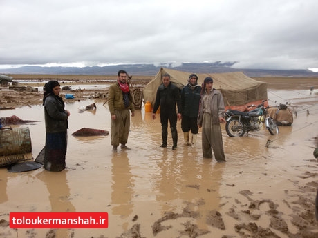 به زودی پرداخت خسارت به سیل‌زدگان آغاز می‌شود