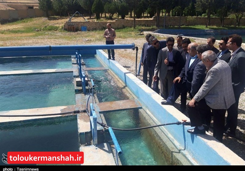 بزرگترین سامانه گندزدایی الکترولیز نمک طعام کشور در کرمانشاه افتتاح شد