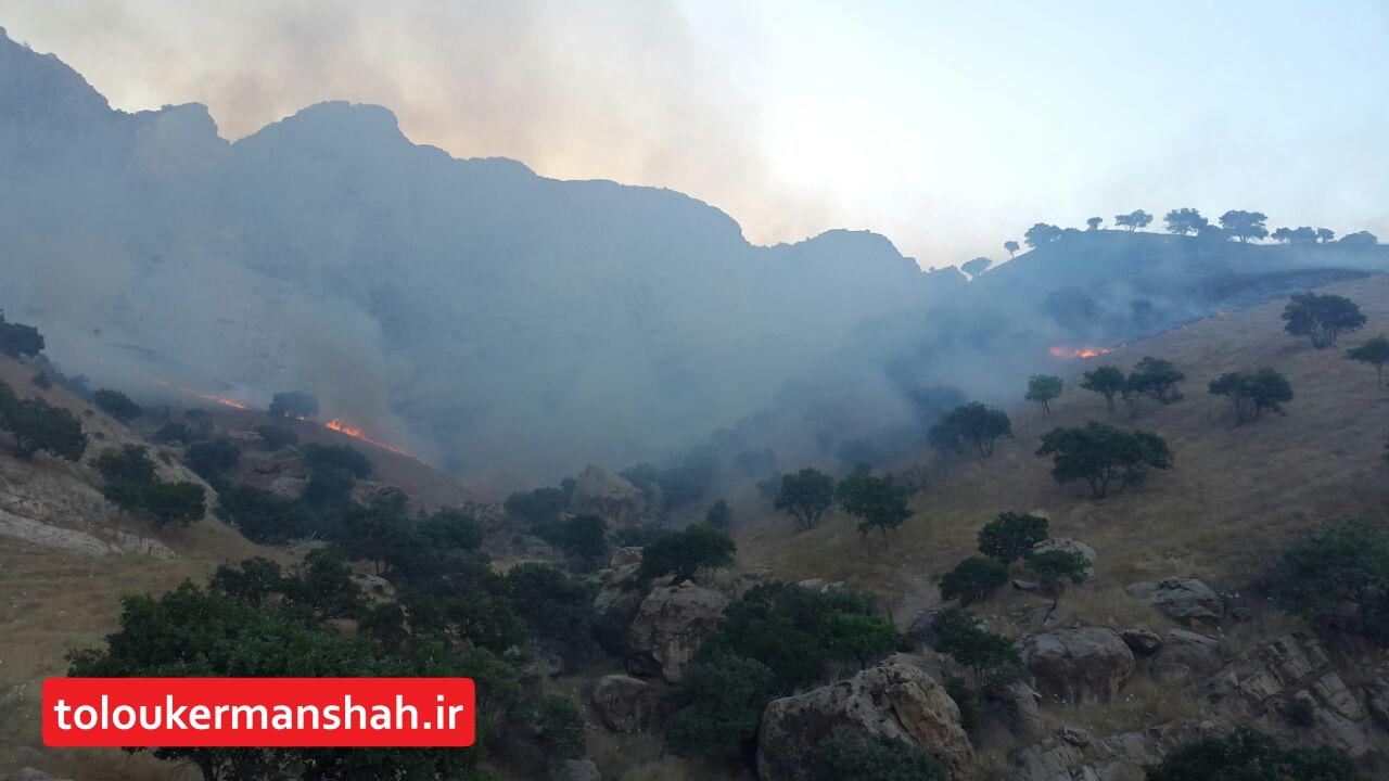 وقوع آتش سوزی در ارتفاعات مله نی گیلانغرب