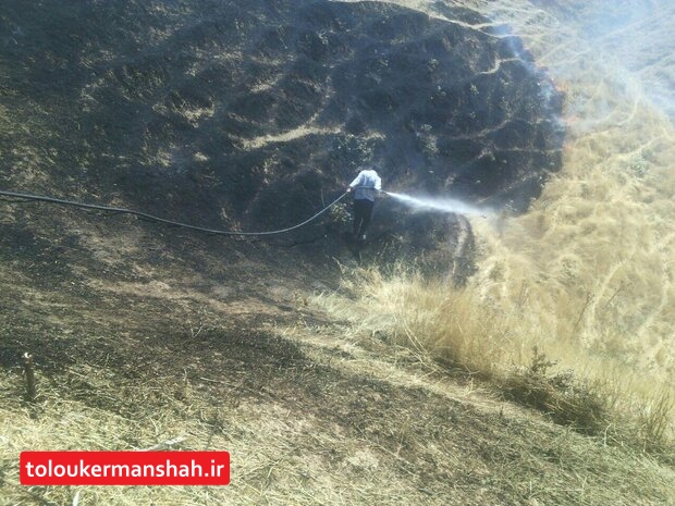 ۵۲ هکتار از اراضی کرمانشاه در آتش سوخت
