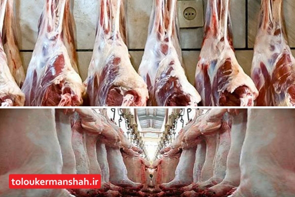 افزایش قیمت گوشت هیچ ارتباطی با صادرات آن ندارد!