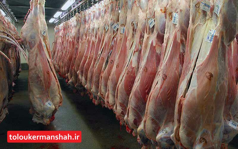 افزایش ۳۰ درصدی قیمت گوشت/ سازمان کشتارگاه کرمانشاه در آستانه “ورشکسته شدن” است