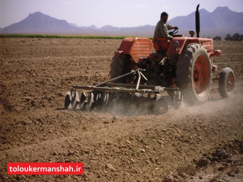 وضعیت معیشت کشاورزان استان خوب نیست/ نخود و زعفران می‌تواند کشاورزی استان را متحول کند