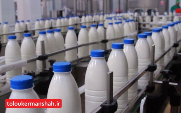 تولید شیر استان به ۵۰۰ هزار تن می‌رسد