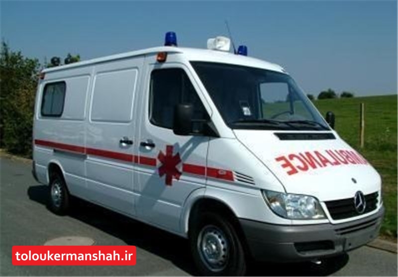 ۴۰۰ نیروی فوریتهای پزشکی استان کرمانشاه در پیادهروی اربعین خدماترسانی میکنند