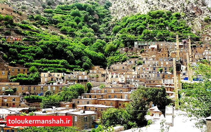 هتل لاله روستای “هجیج” بزودی افتتاح می‌شود