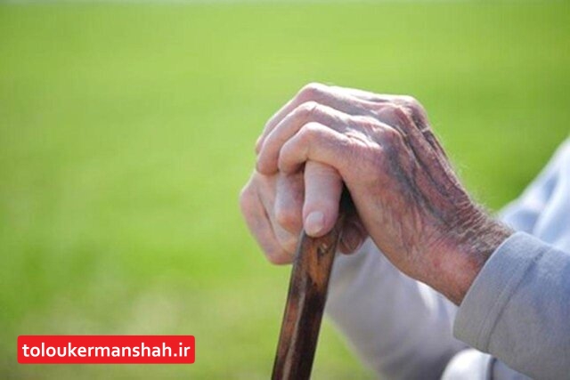 شعار امسال (۹ مهر) روز جهانی “سالمند”:”فرصت‌های برابر برای همه سنین/کرمانشاه؛هشتمین استان پیر کشور