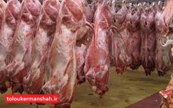 قاچاق دام محدود شد/کاهش ۱۰ هزار تومانی نرخ گوشت قرمز در بازار