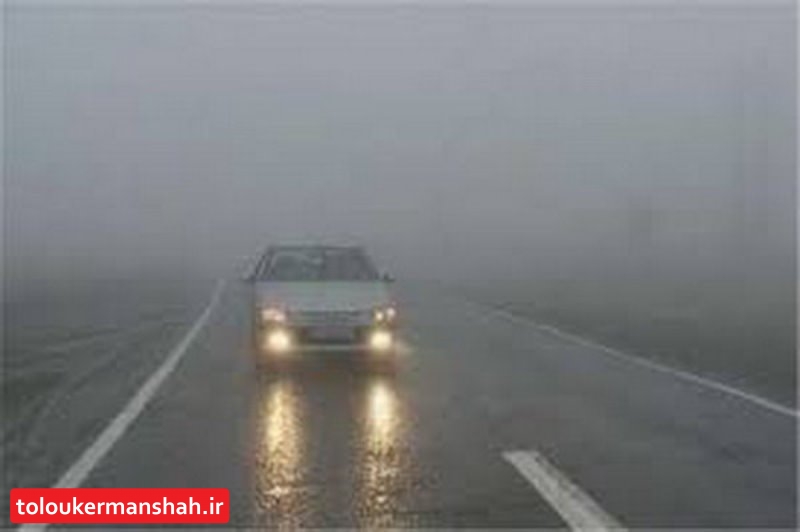 رانندگی در مه خطر تصادف را افزایش می دهد