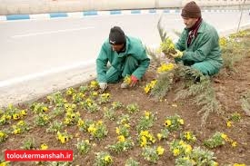 فضای شهر کرمانشاه با کاشت ۷۰ هزار بوته گل بهاری می‌شود
