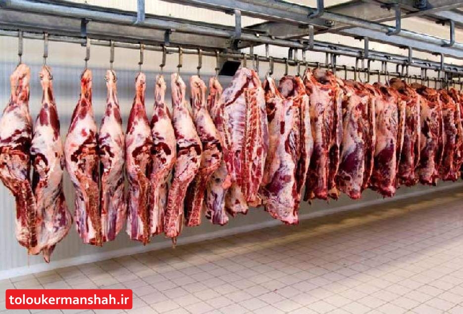 پیش بینی تولید ۴۰ هزار تن گوشت قرمز دراستان کرمانشاه