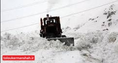۸۵ راه روستای مسدود شده با برف در کرمانشاه بازگشایی شد/ بیشترین بارش برف در حوزه پاوه  با ۸ ساعت بارش بوده است