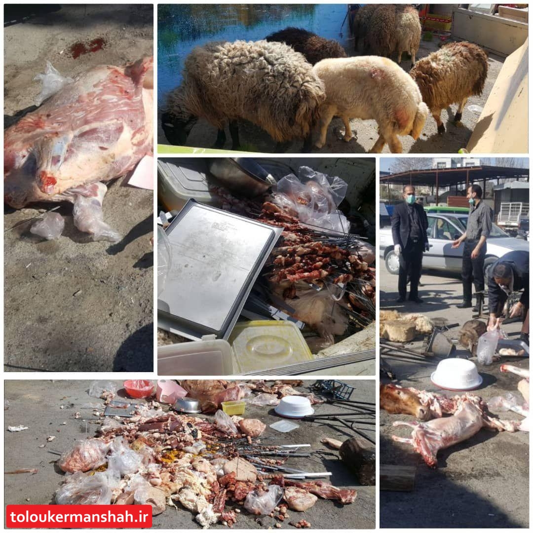 جمع آوری بیش‌ ازهفتصد کیلوگرم گوشت از کشتارهای غیرمجاز در کرمانشاه/برخورد جدی با کشتارهای غیرمجاز شهری در پی گسترش شیوع ویروس کرونا