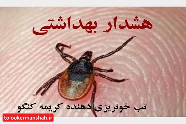 هشدار در مورد شیوع تب خونریزیدهنده کریمه کنگو در فصل گرما