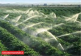 افزایش بیرویه کشت آینده زیستمندان کرمانشاه را با بحران روبرو میکند