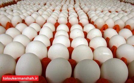 کشف ۳۸ هزار عدد تخم مرغ احتکار شده در اسلام آبادغرب