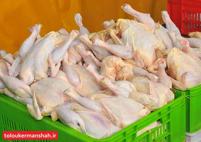 محکومیت ۲ میلیاردی ۶ مرغ فروش عمده در کرمانشاه