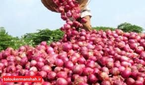 قیمتِ پایینِ پیاز اشک پیازکاران هرسینی را درآورد