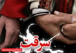 کشف ۲۳۸ فقره سرقت/دستگیری ۳۸۶ مجرم و هنجار شکن