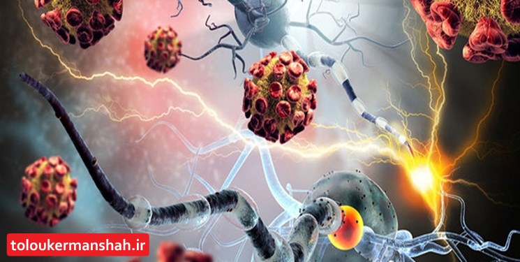 «کپسول» تولیدی در کرمانشاه در کاهش علائم «کرونا» موثر است
