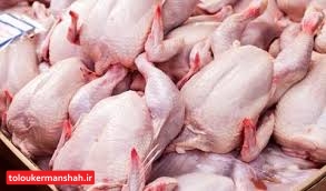 توزیع “مرغ منجمد” قیمت مرغ را در بازار کرمانشاه کاهش داد