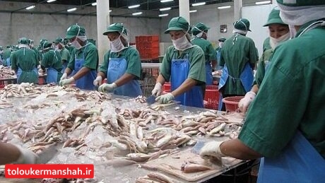 اعلام آمادگی سرمایهگذار آلمانی برای فرآوری احشا دام در کرمانشاه