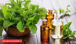 روغن نعناع مسکن طبیعی برای خارش پوست